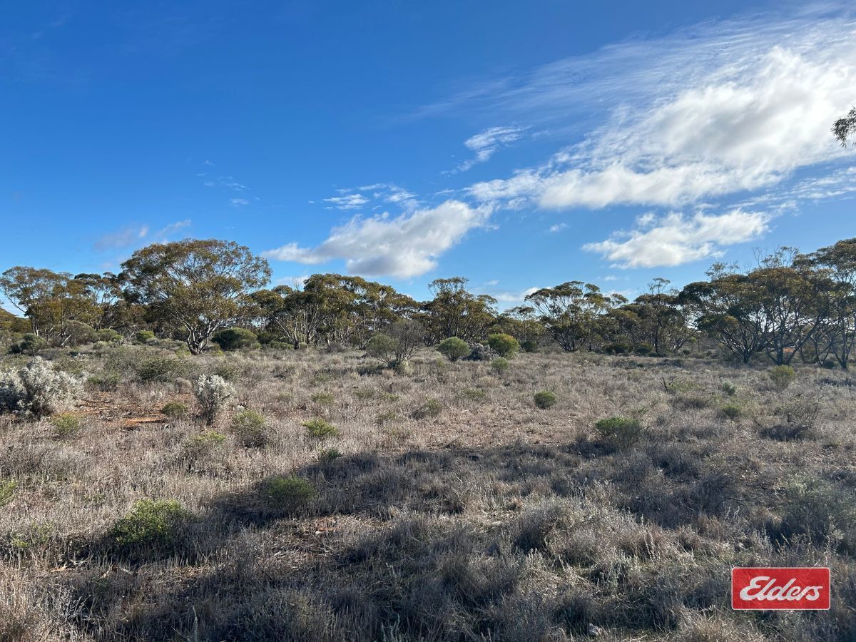 Vacant land in Sec 166 Thiele Highway, BOWER SA, 5374