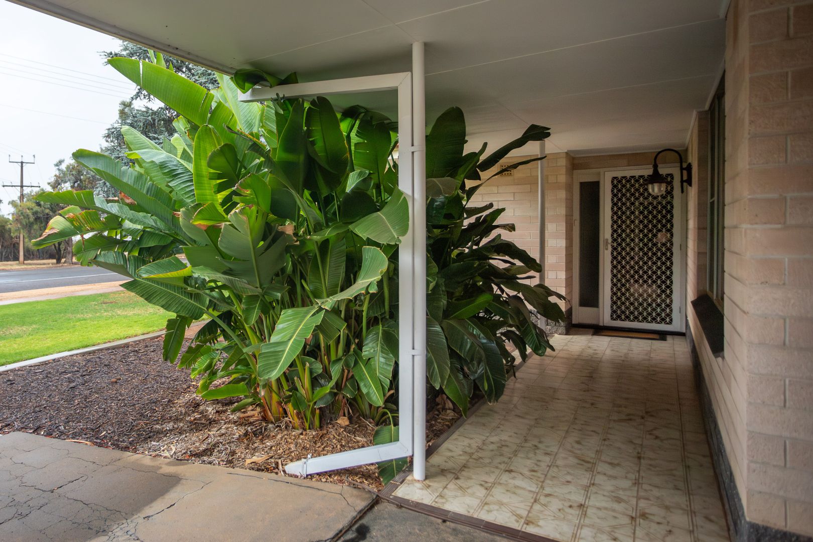 12 Nookamka Terrace, Barmera SA 5345, Image 2