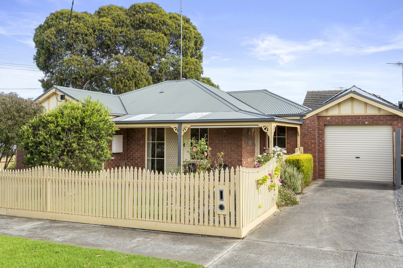 38 Francis Street, Belmont VIC 3216, Image 0