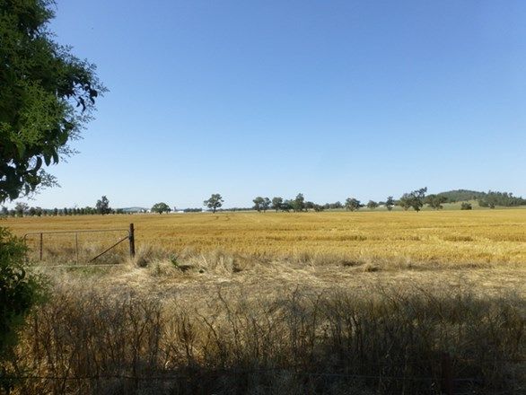 'Kimbar', Parkes NSW 2870, Image 2