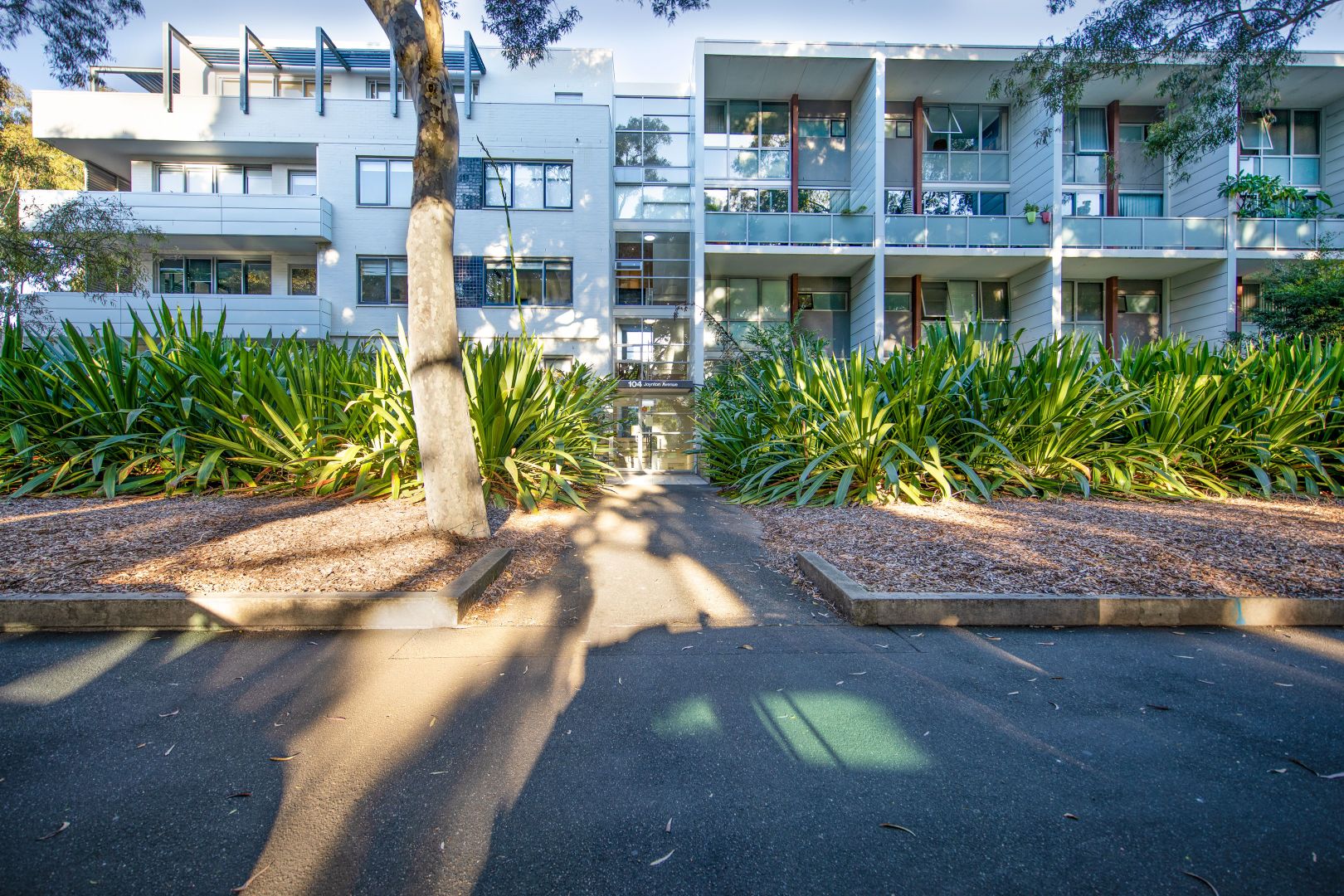 10/104 Joynton Avenue, Zetland NSW 2017, Image 1