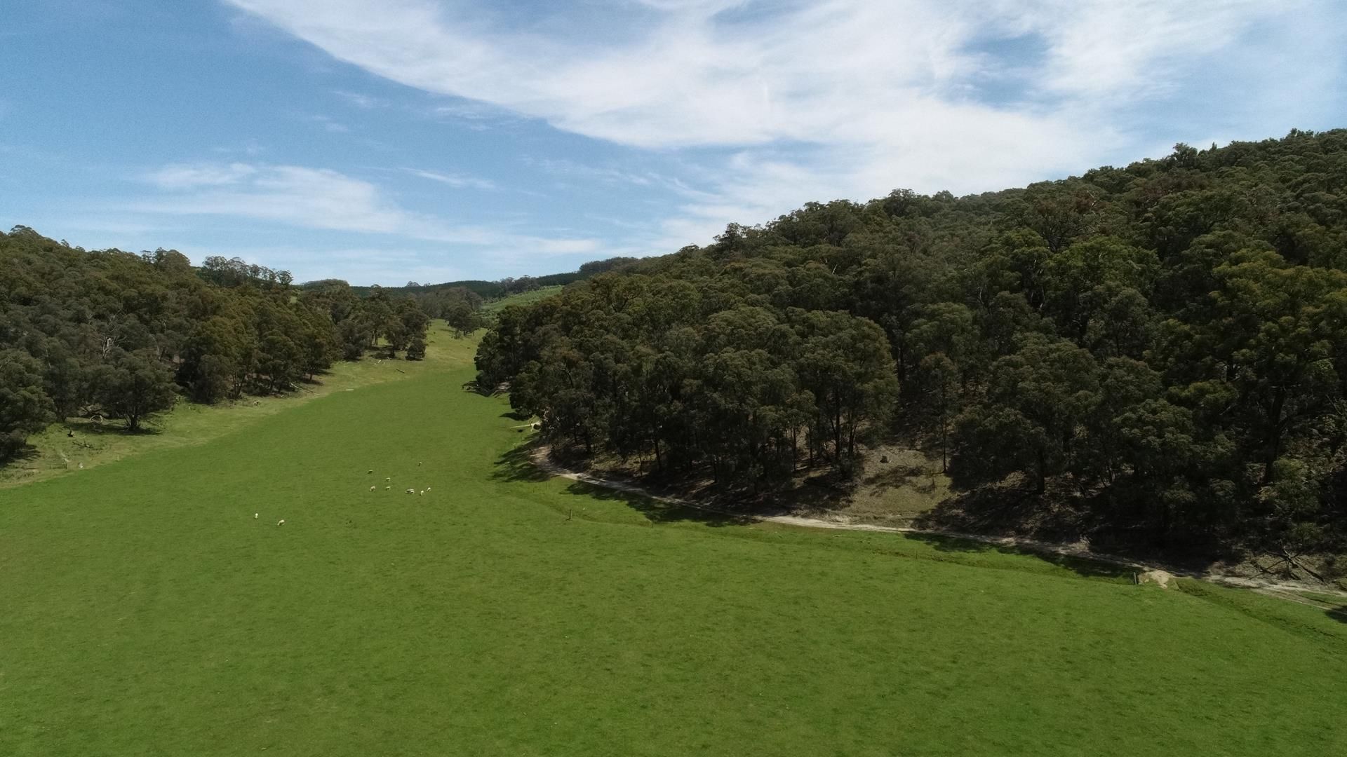 Lot 1 Stancliffs Road, Devon North VIC 3971, Image 0