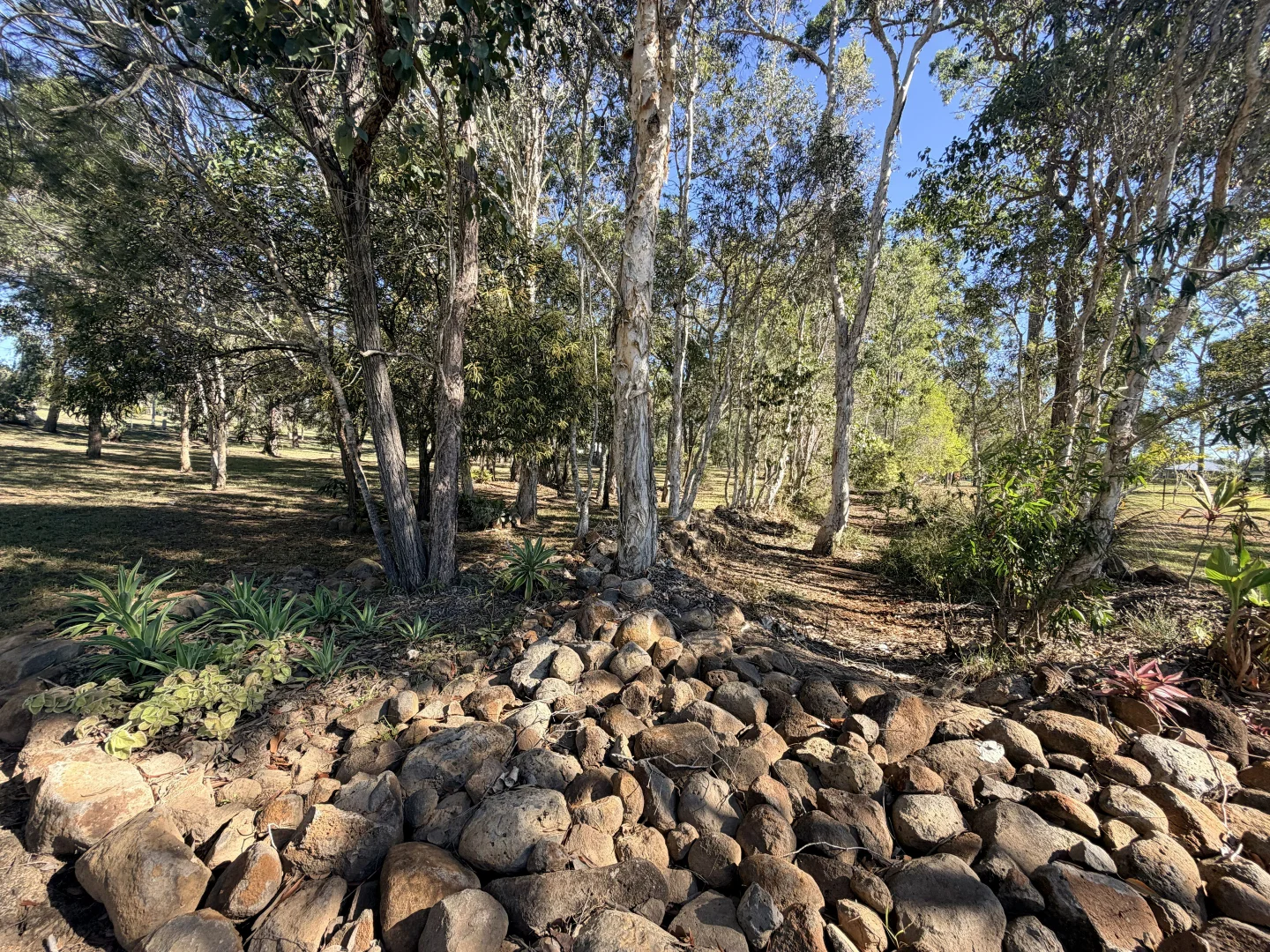 Image 31