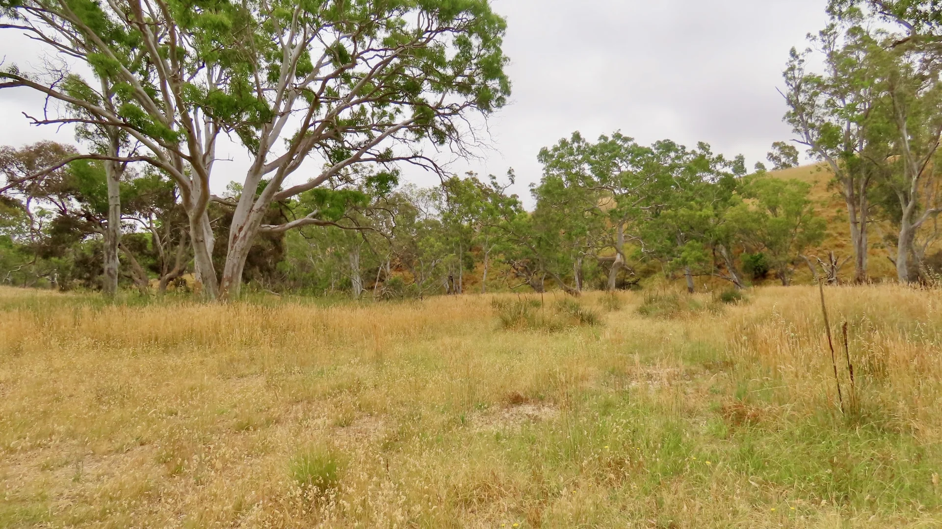 Additional image 36 of 596 Mostyn Lane, Balmoral VIC 3407