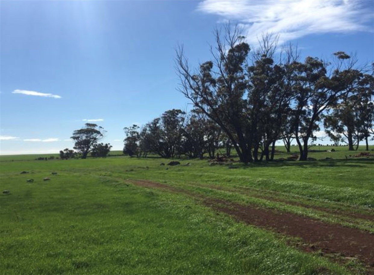 Lot 617 Nambling North Road, Dowerin WA 6461, Image 2