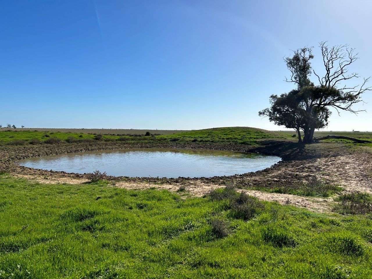 Gunbower Terricks Road, Patho VIC 3564 House for Sale Domain