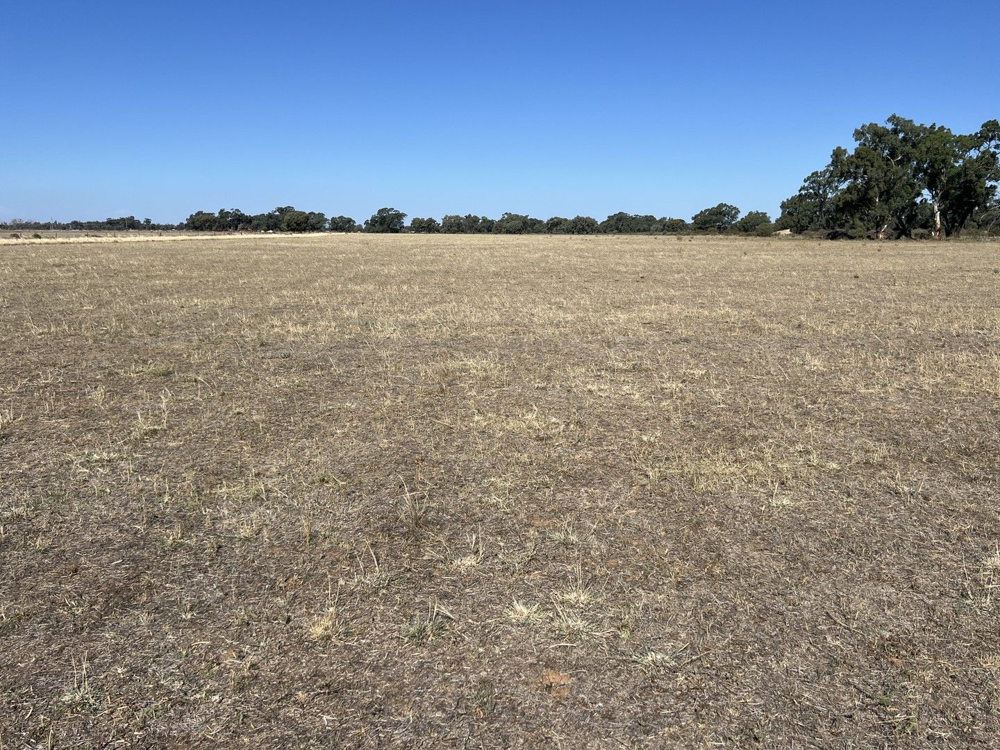 Lot 6 Hogans Lane, Deniliquin NSW 2710, Image 0