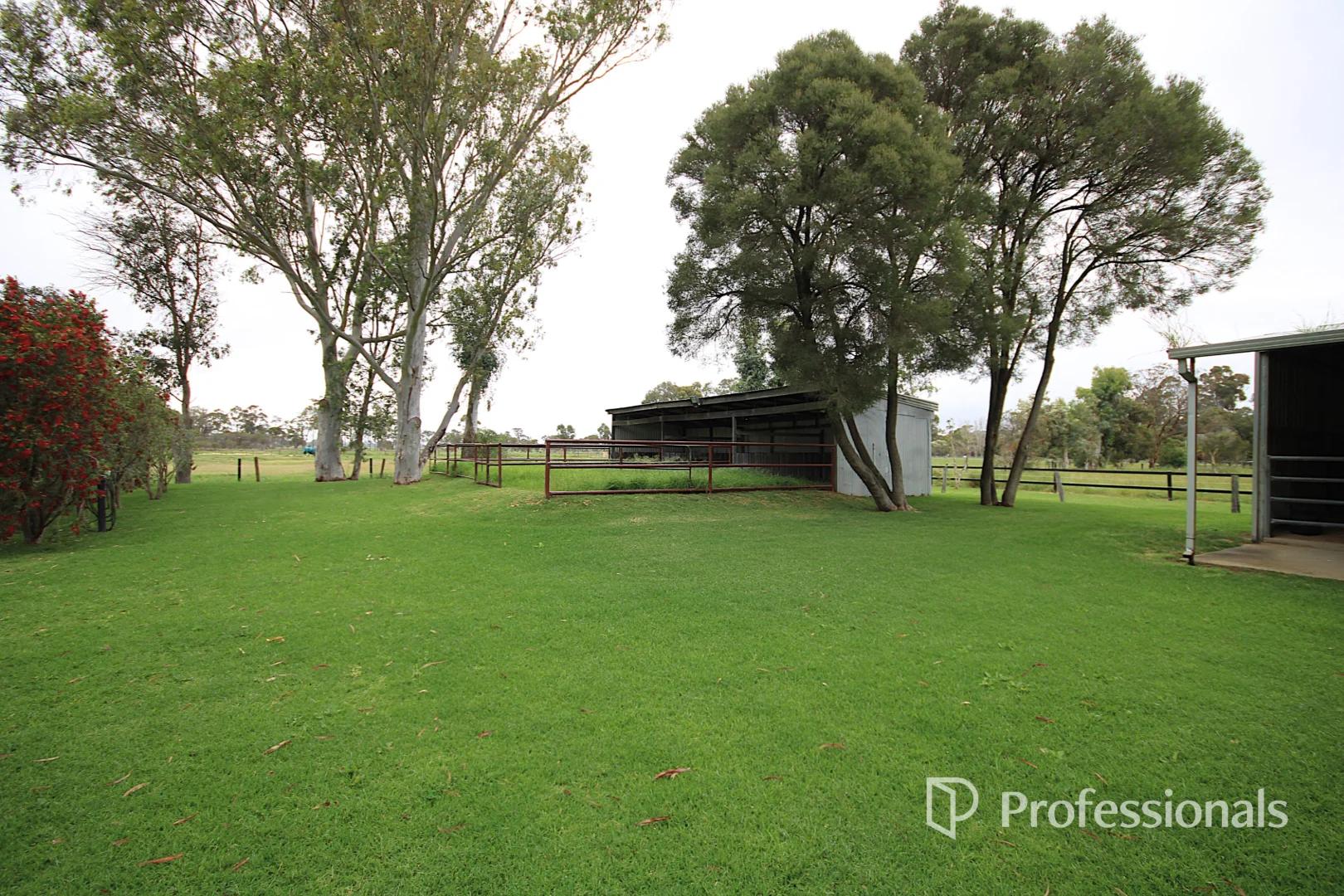 55 Panizza Road, Dardanup WA 6236 - House for Sale - $1,800,000
