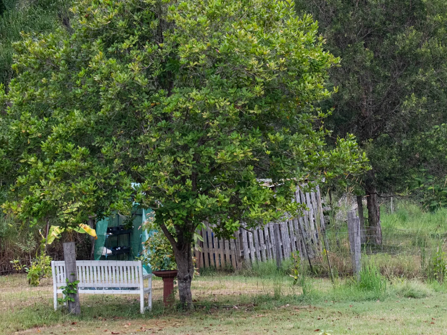 Image 29