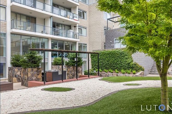 236 Rental Properties In Canberra Act 2600 Domain