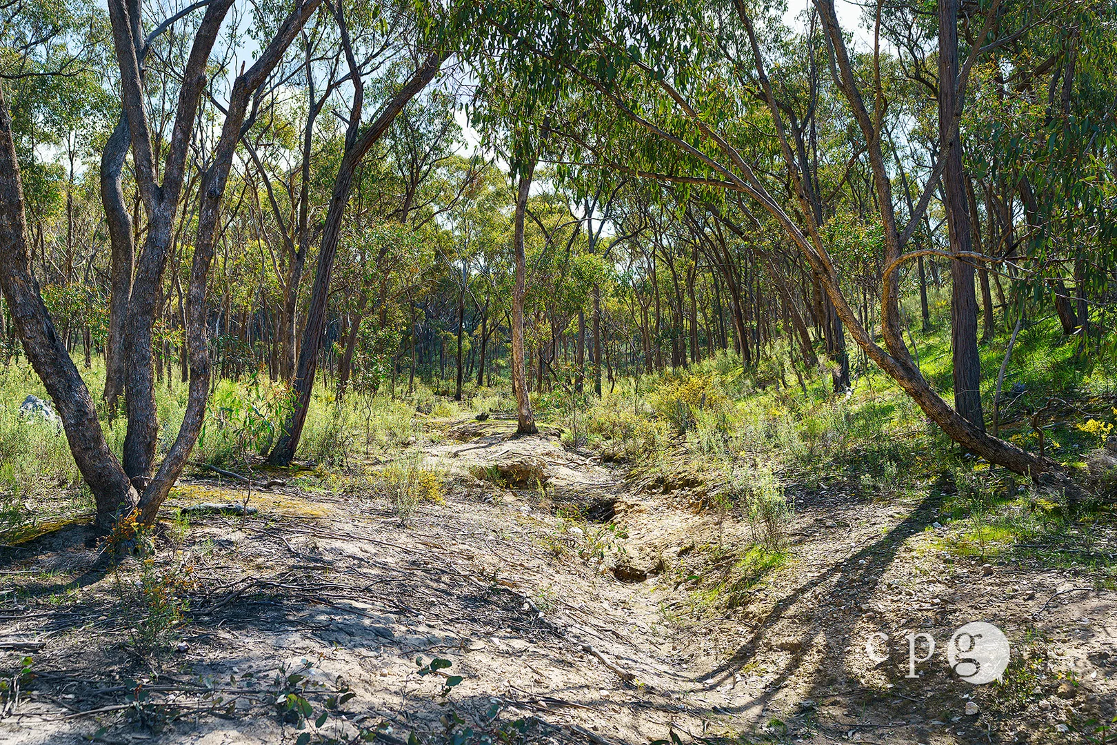 Image 12
