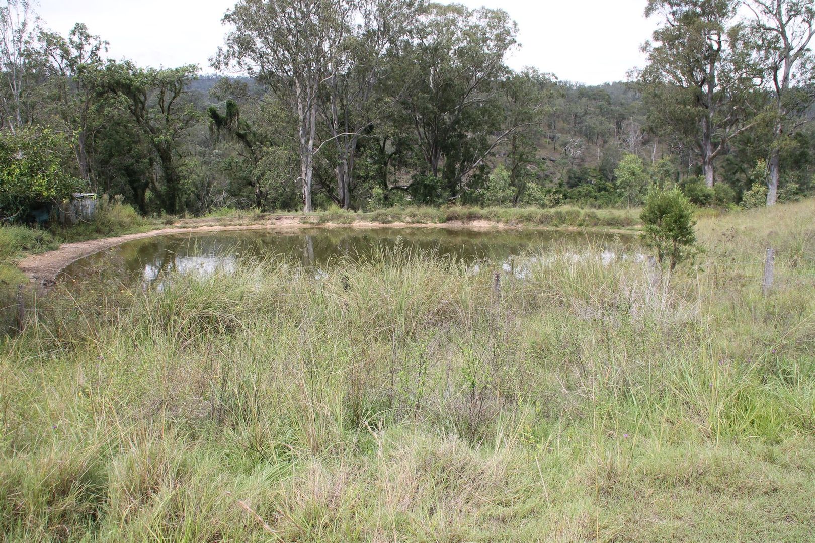 198 Lower Rocky River Road, Drake NSW 2469 House for Sale 1,050,000