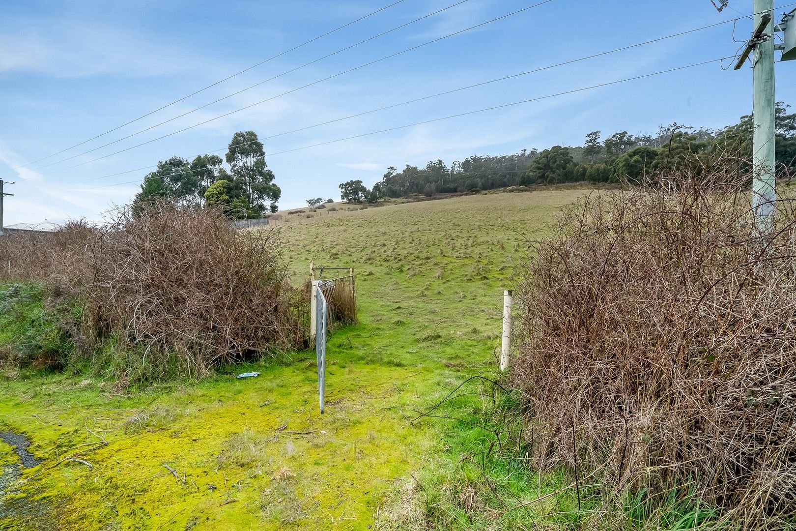 Channel Highway, Huonville TAS 7109, Image 1