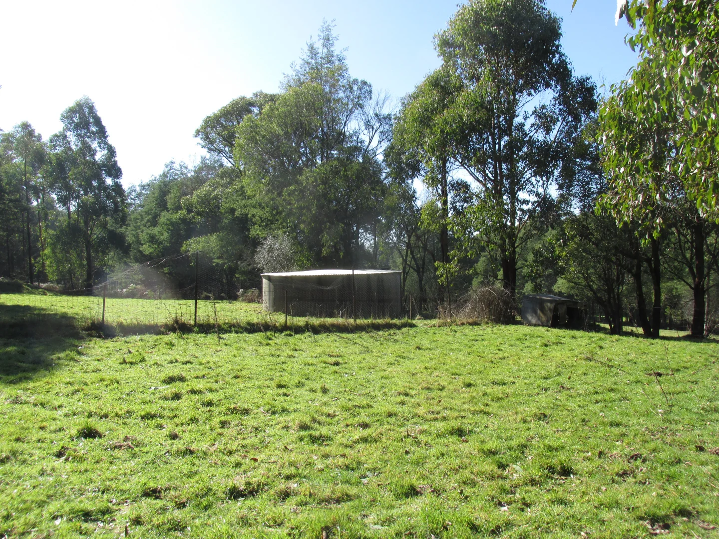 Image 6