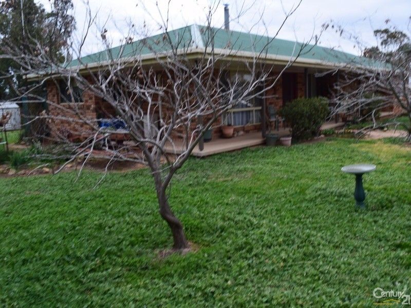 8673 "Hillside" The Escort Way, Eugowra NSW 2806, Image 0