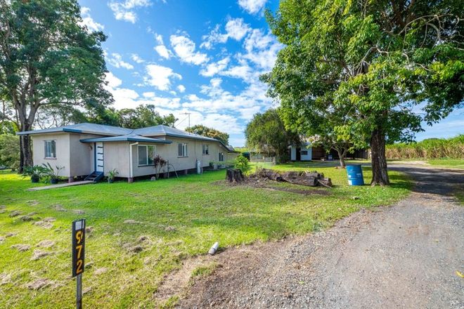 Picture of 972 Bruce Highway, FARLEIGH QLD 4741