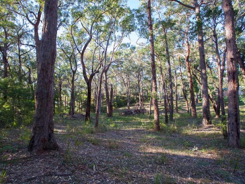 Wallaga Lake NSW 2546, Image 1