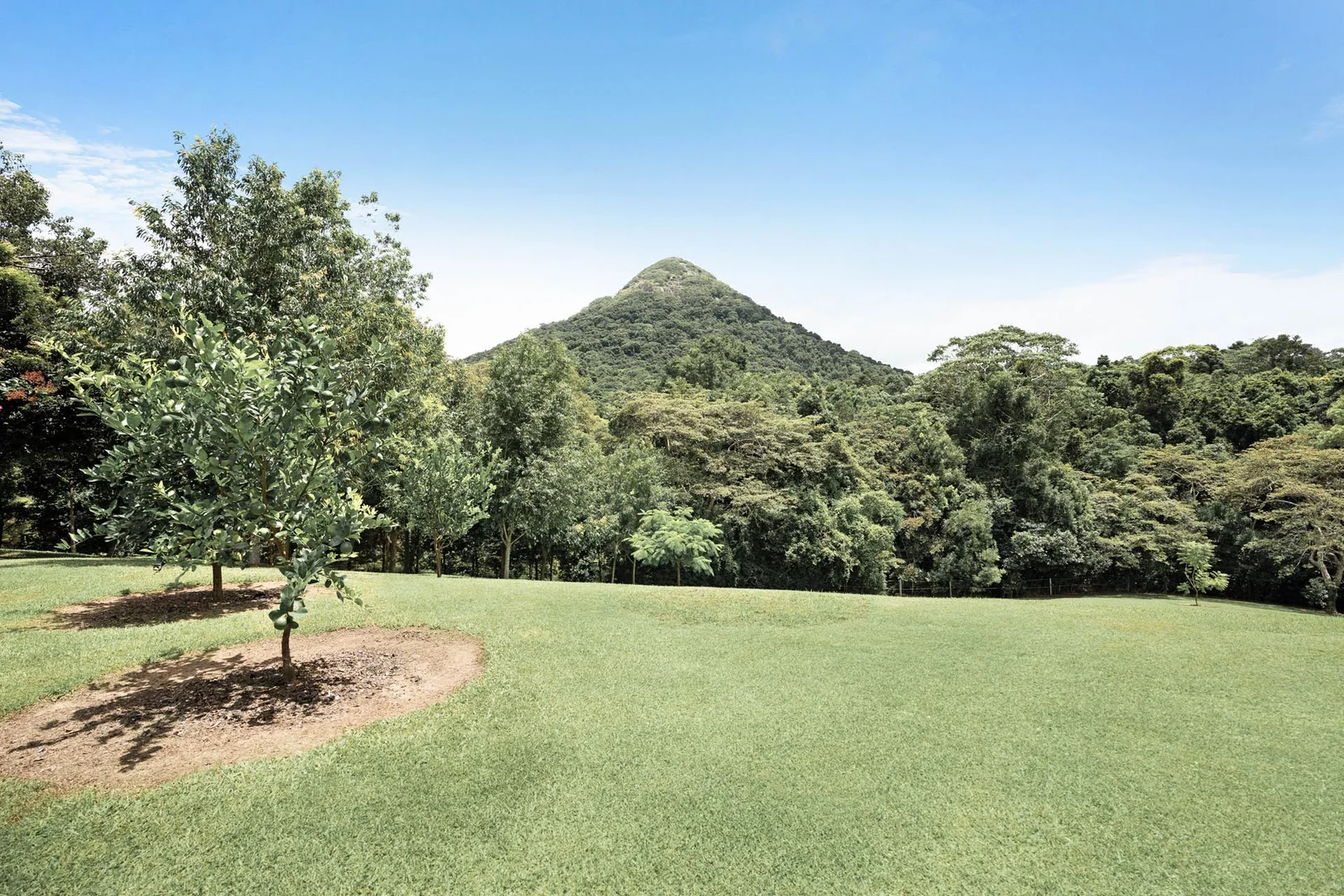 Additional image 38 of Cooroy Mountain QLD 4563