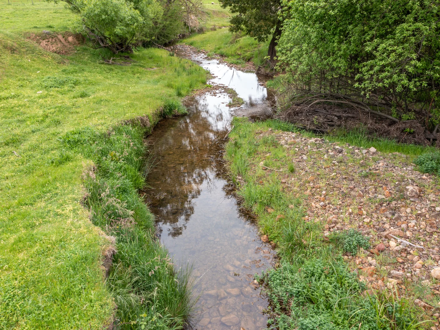 Image 21