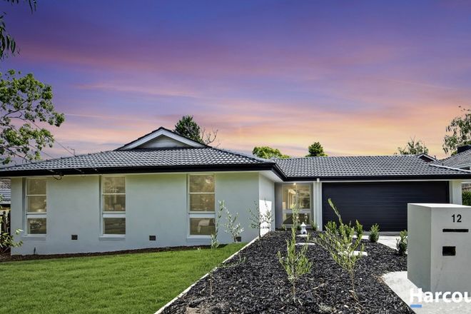 Picture of 12 Tanunda Street, VERMONT SOUTH VIC 3133