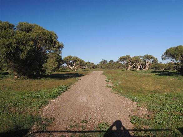 Lot 82 Harold Douglas Drive, Dardanup West WA 6236