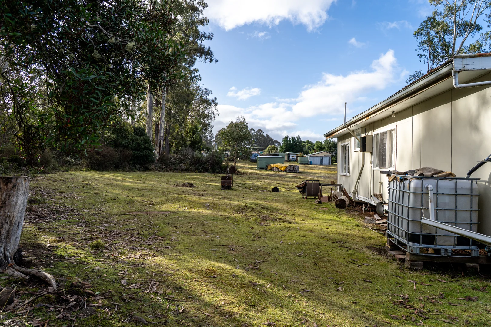 Image 14