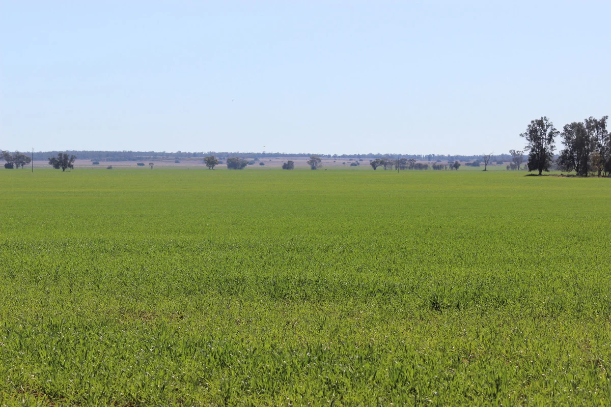 Image 12