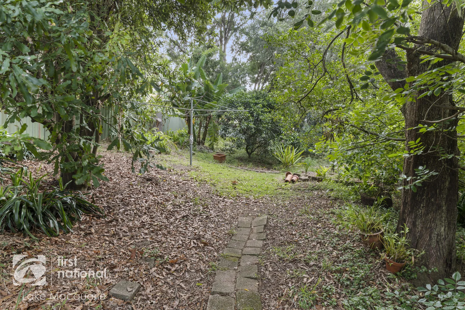 Image 24