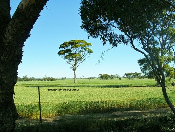 Picture of Lot 129 Wyalkatchem-Koorda Rd, KOORDA WA 6475