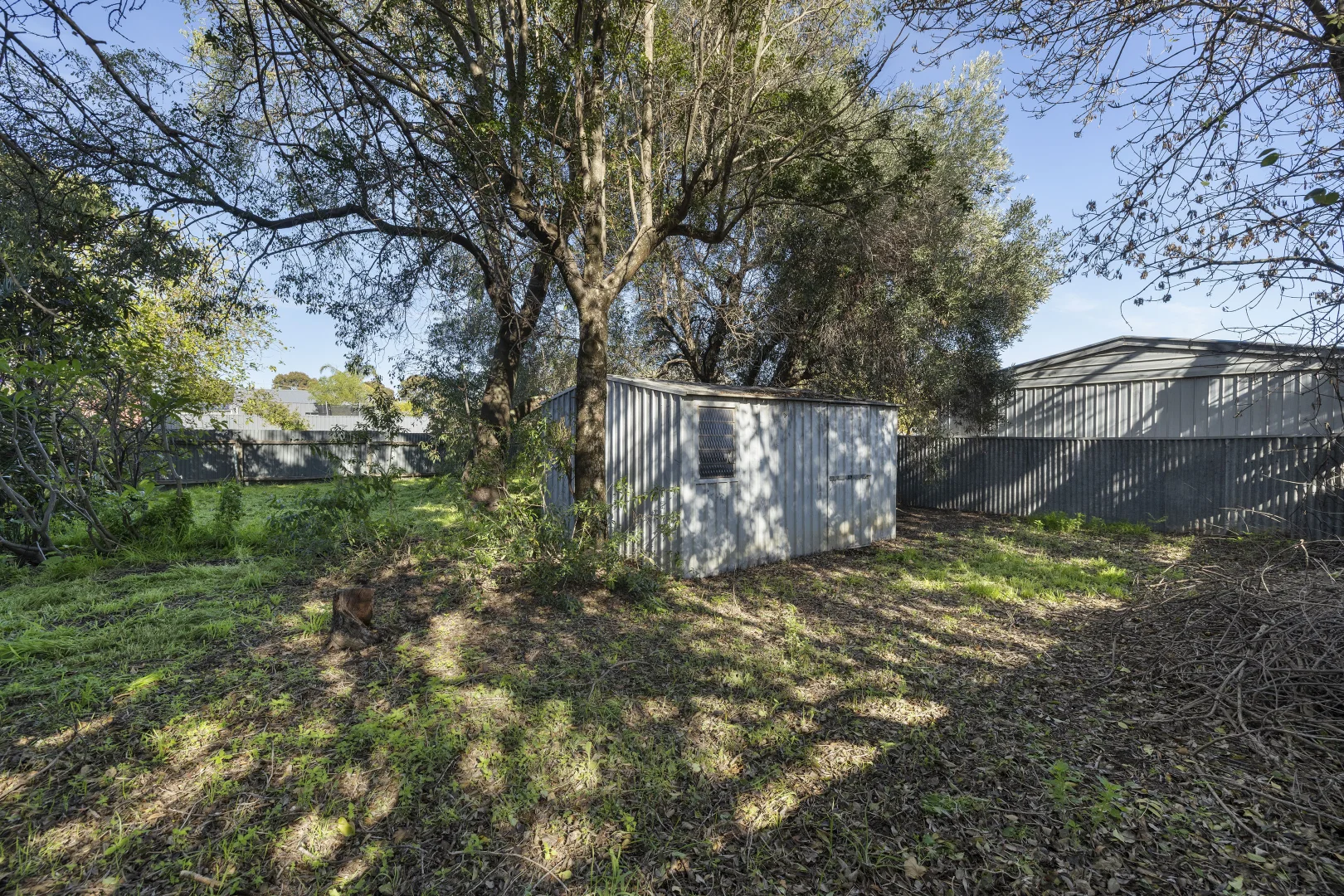 Image 15
