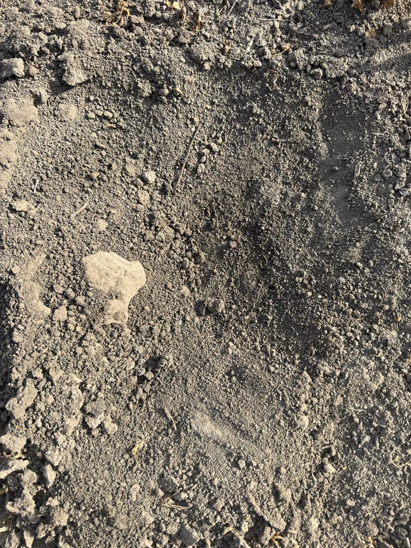 Image 14