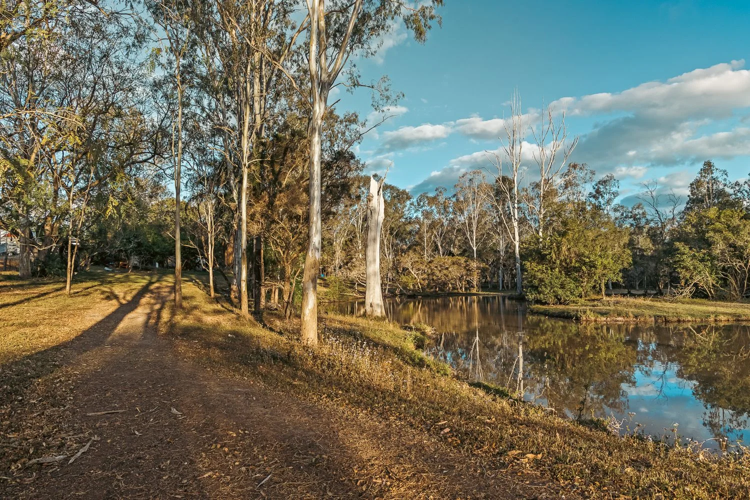 35-43 New Beith Road, Greenbank QLD 4124 - House for Sale | Domain