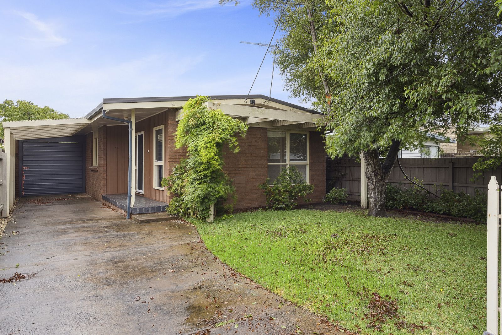 203 Eighth Ave, Rosebud VIC 3939 House For Rent Domain
