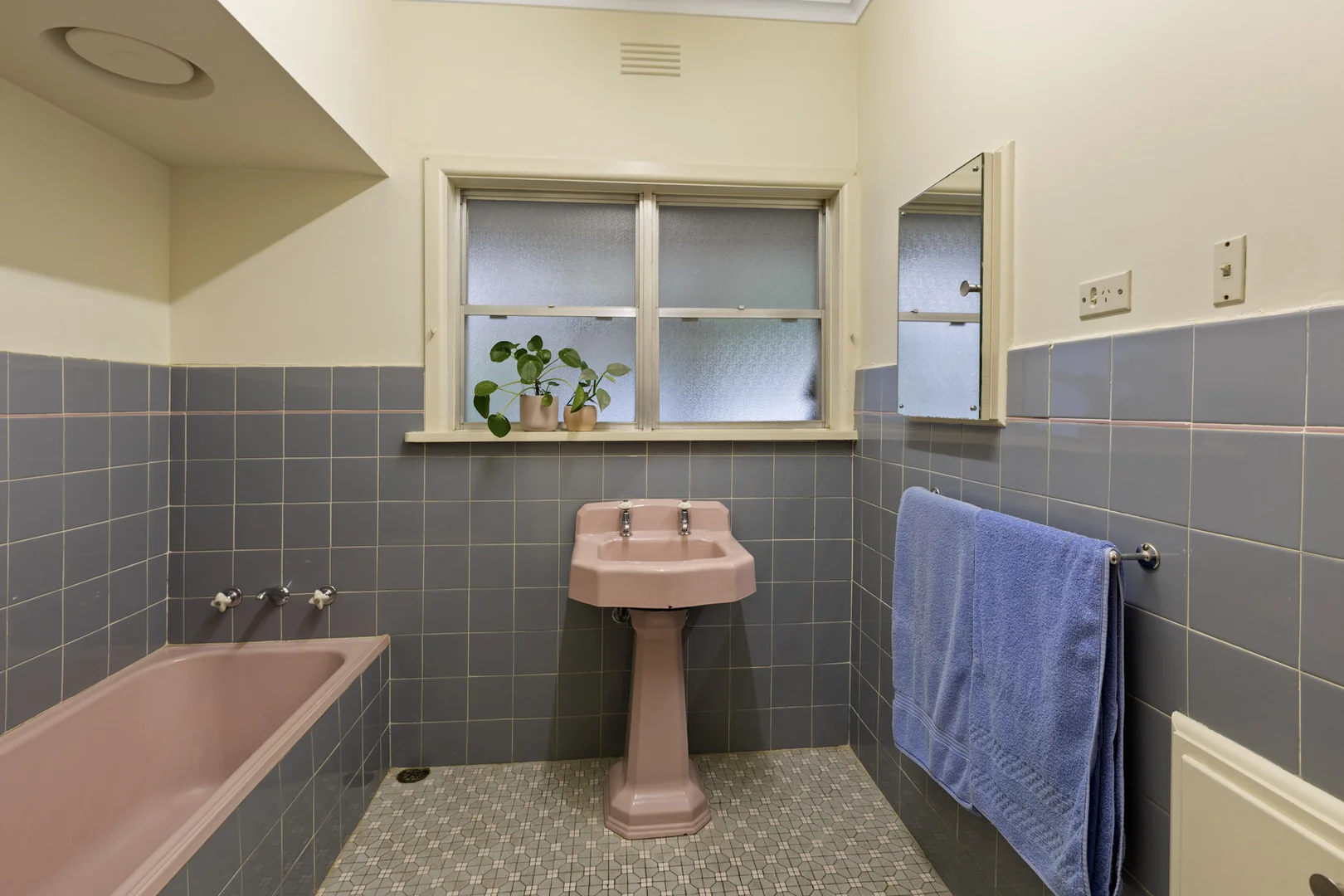 Image 13
