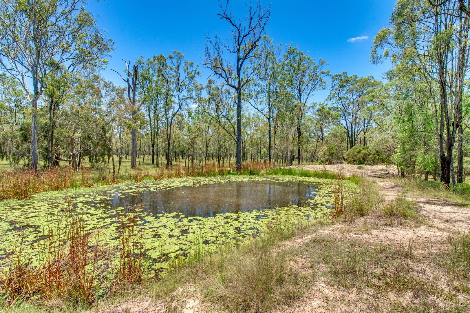 66-94 Tea Tree Avenue, Mount Forbes QLD 4340, Image 0