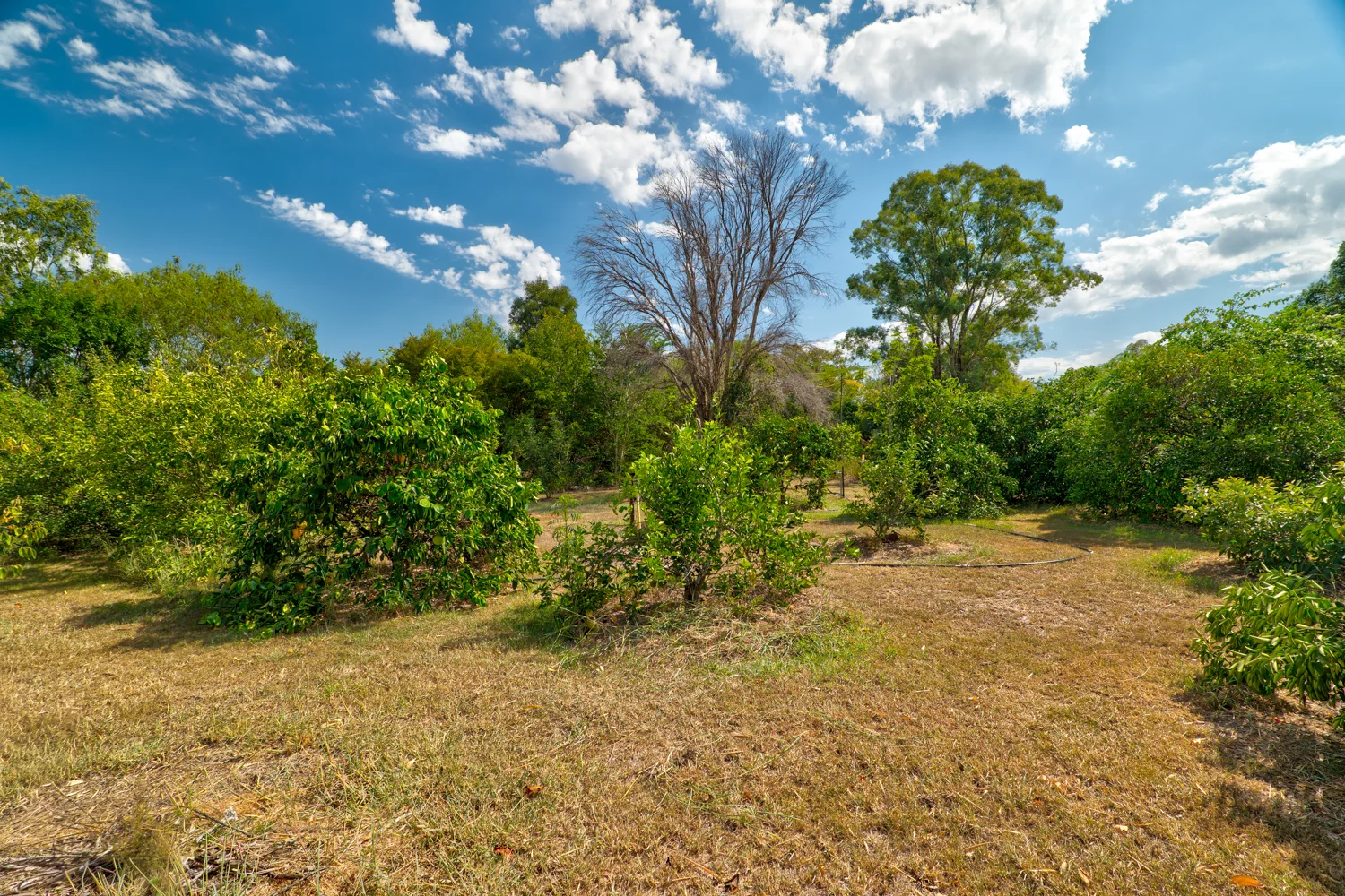 Additional image 29 of 53 West View Cresent, Prenzlau QLD 4311