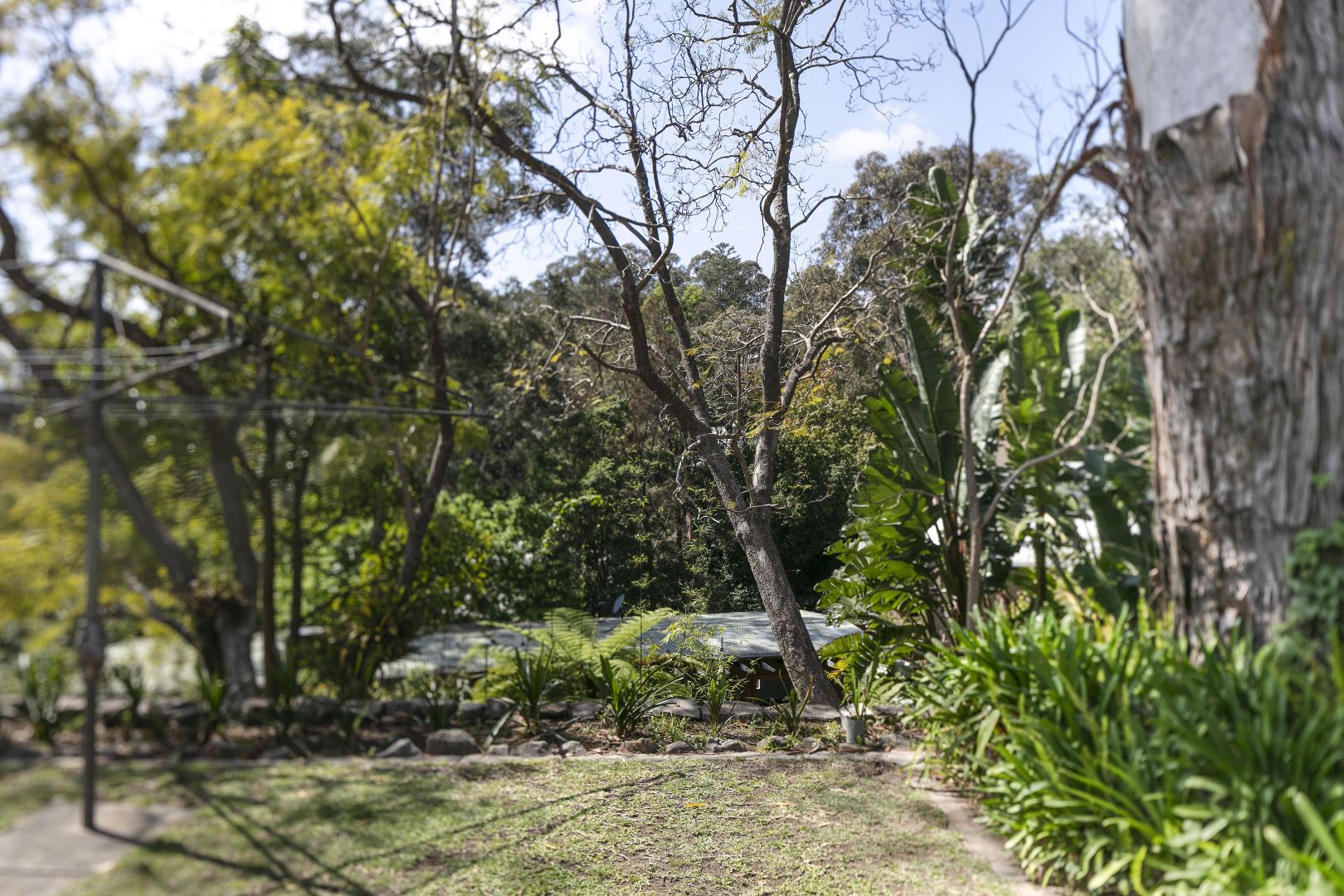 147 Lower Pittwater Road, Hunters Hill NSW 2110, Image 2