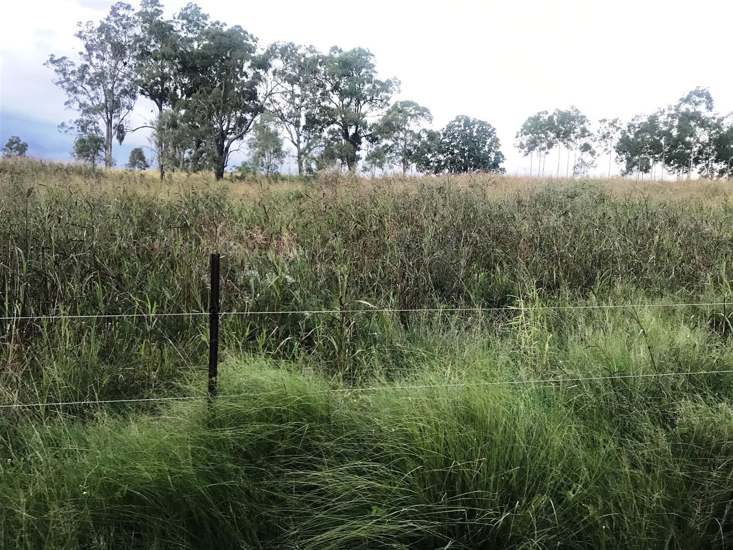 Farm in Lot 216 Wooden Hut Rd., KINGAROY QLD, 4610