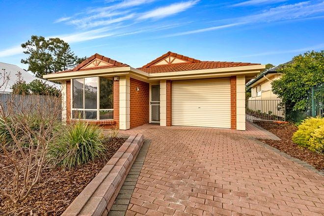 175 Real Estate Properties for Sale in Seacliff Park, SA, 5049 | Domain
