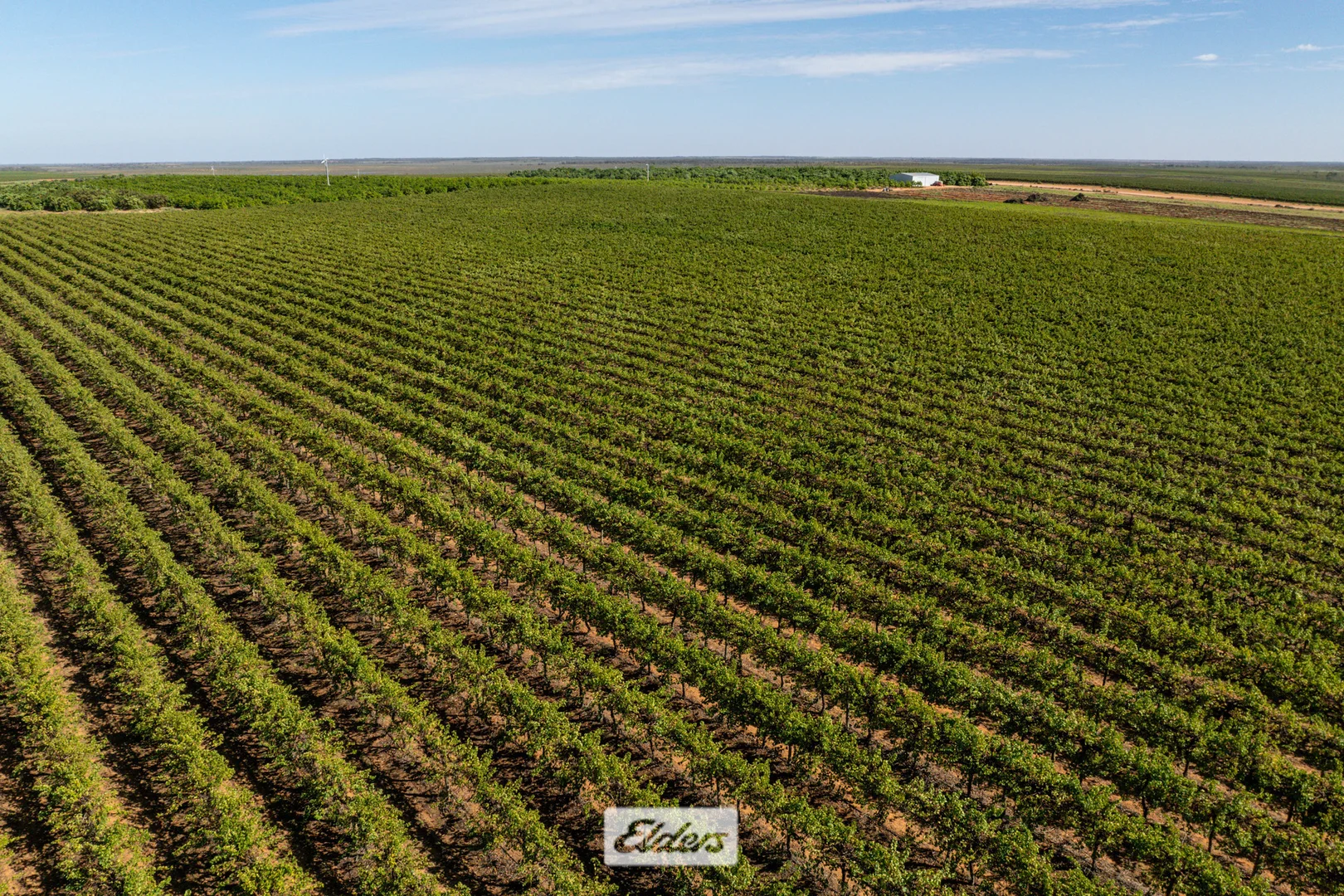 Additional image 35 of 135 Red Hill Road, Pomona NSW 2648