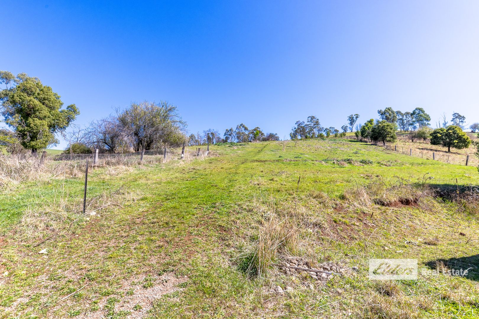 175 Old Buchan Road, Buchan VIC 3885, Image 2