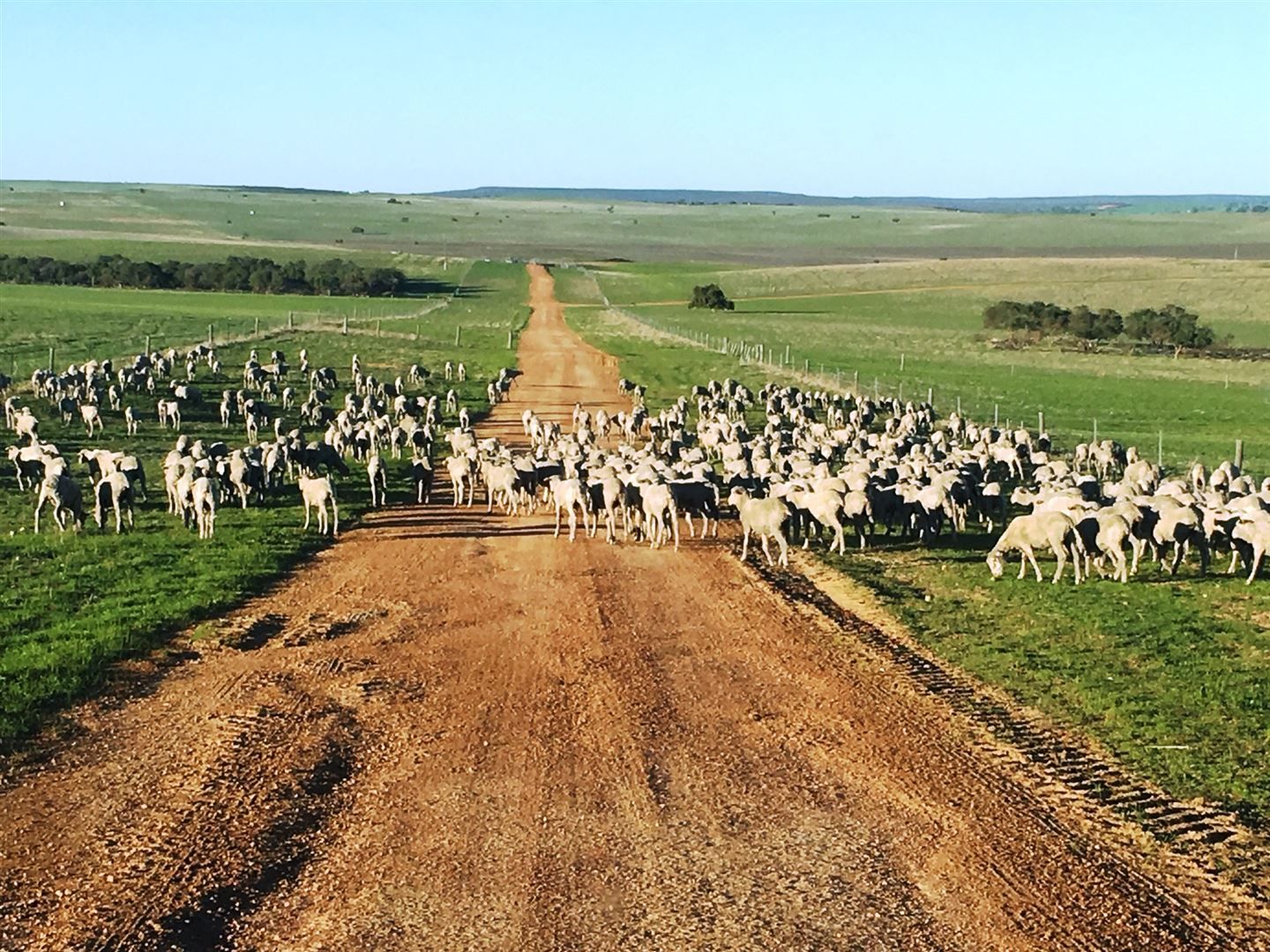 Badgingarra WA 6521, Image 1