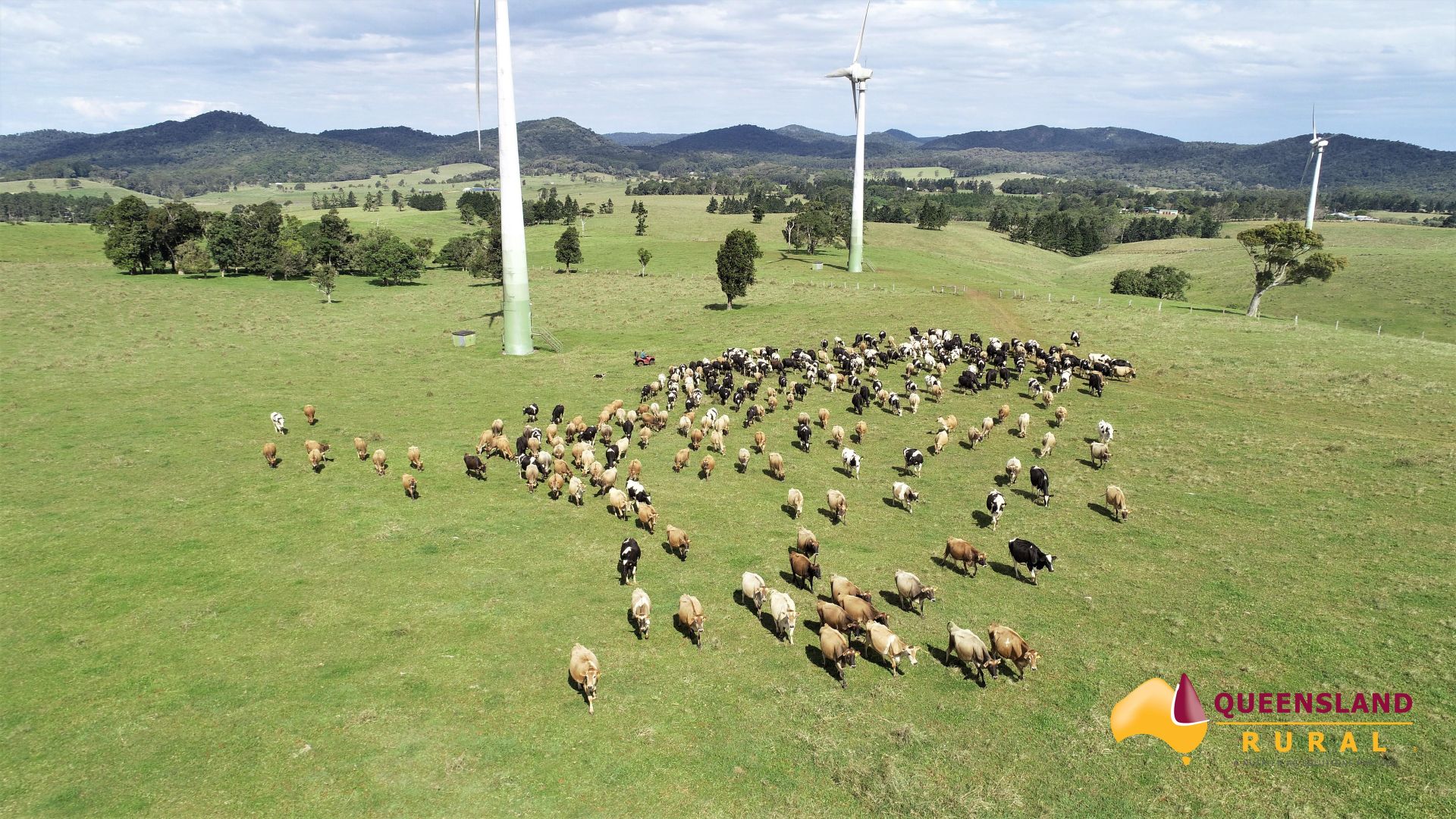 Ravenshoe QLD 4888 Specialist Farm for Sale Domain