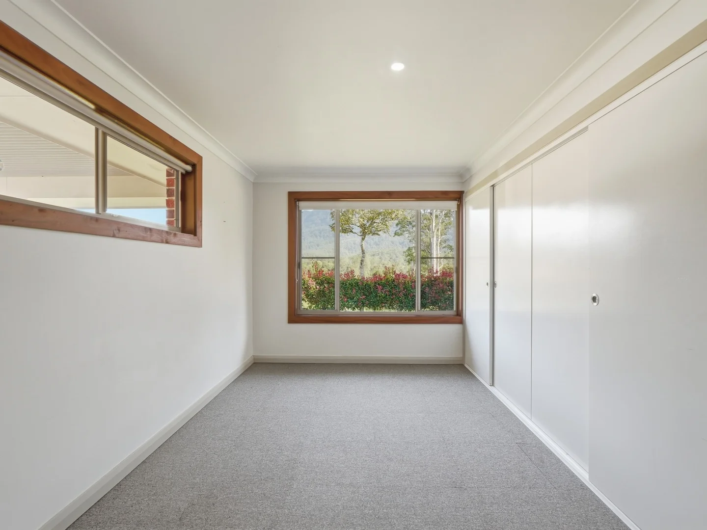 Additional image 7 of 1882 Waterfall Way, Bellingen NSW 2454