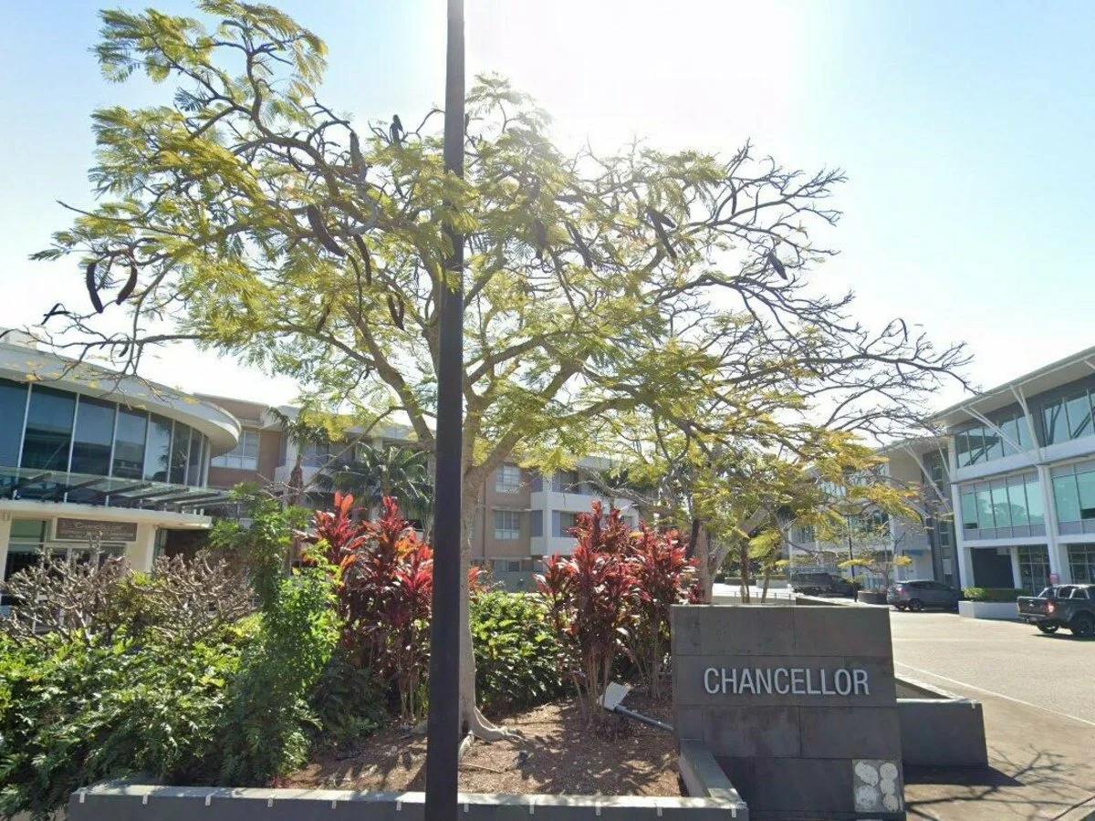 Image 12