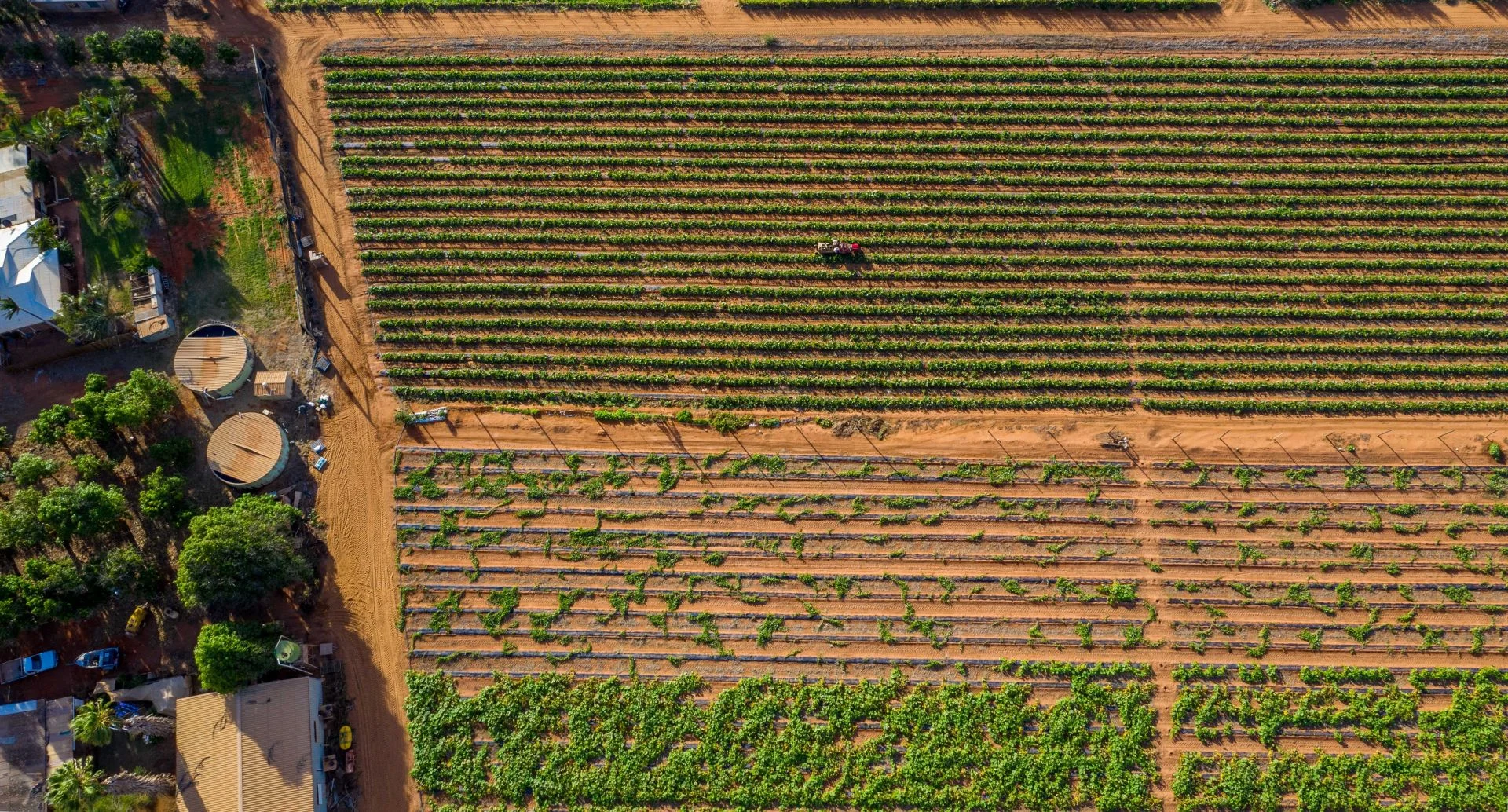 Image 15