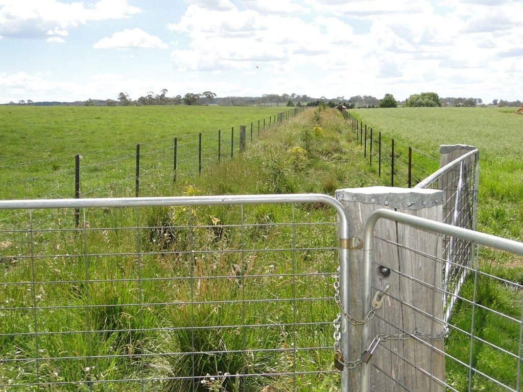 Hilltop Worra Street, Guyra NSW 2365, Image 1