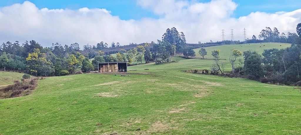Image 12