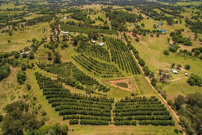 Picture of GREENS CREEK QLD 4570