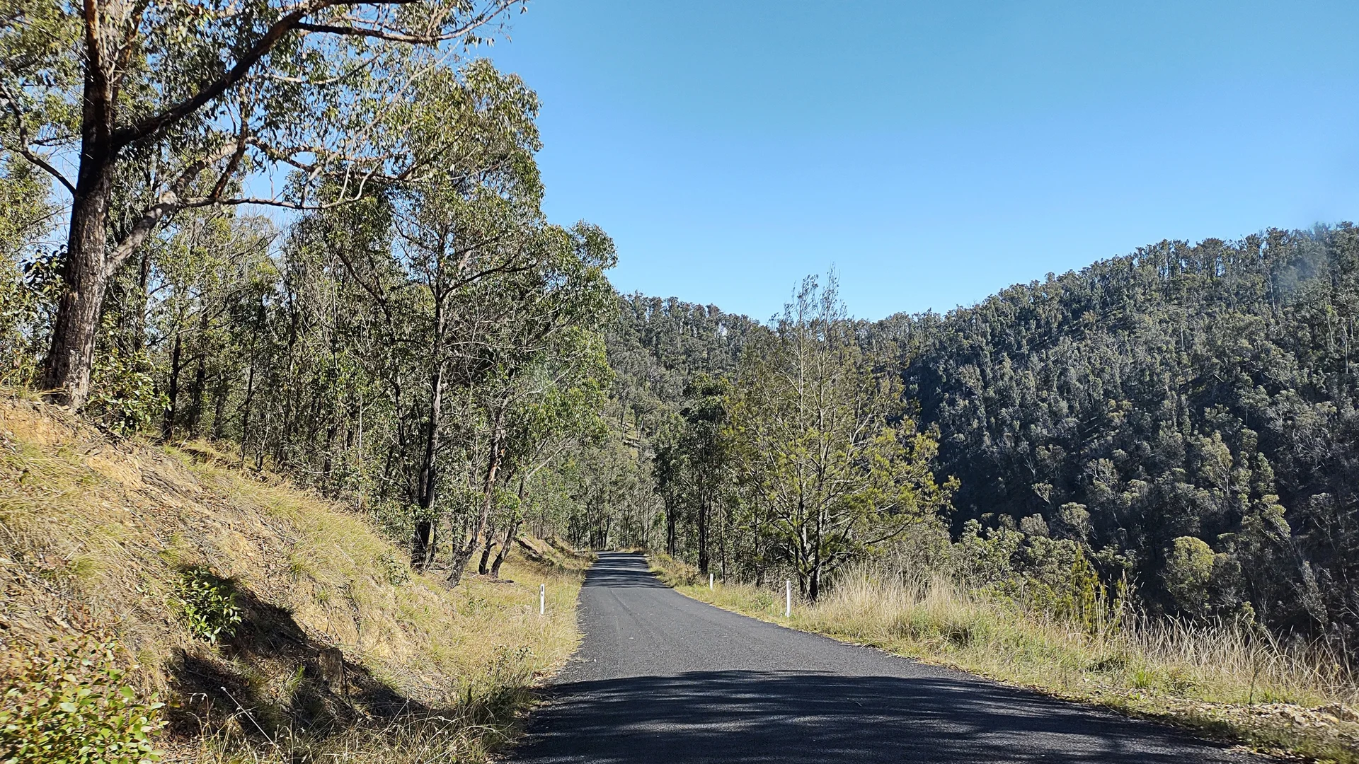 Additional image 7 of 307 Blomfield Road, Yarrowitch NSW 2354